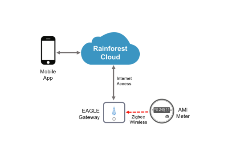 Rainforest Cloud